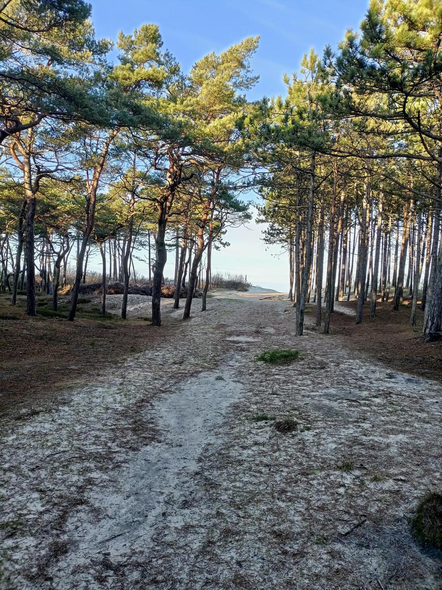 Domki Apartamentowe Balia Mieroszyno Bagian luar foto